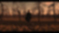 Hugh Stanier Art in the Orchard.jpg