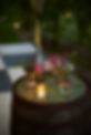 Stanier Wedding_Dragon Orchard_cider bar