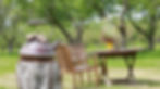 Flowers growing in a antique kettle next to outdoor seating underneath apple trees