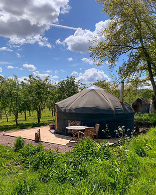 Beautiful view of Cai Yurt through the apple trees at Dragon Orchard on a blue sky sunny day