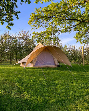 Bella-Belinda the Bell Tent at Dragon Orchard.jpg