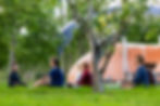 Yoga & Meditation in Dorothy's Orchard